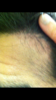 BB2BE46E-1648-4C7C-9963-5E73462058BD.png