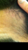 B73BC5B8-2597-4319-A1FA-CCDDF49F0068.png