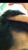 C61CA459-794D-498C-B07F-2F7360BDCC40.png