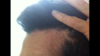 043DCE16-E38F-40A8-A9DA-206463F92F33.png