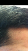 54E79784-F0E8-4885-B172-457366E81197.png