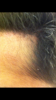 39AD0697-3C77-472B-A6B9-2F1727856307.png