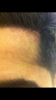 9D69E59B-AF05-4346-AEB9-E0A245B1D5B0.png
