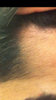 38D53514-4CCB-4B14-91F7-6037DBF41751.png