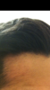 F7B3A1D7-1F4F-4E20-B35D-397D1713E7F6.png