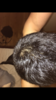 E31C59F0-32A0-46EB-BBFE-242E0400C133.png