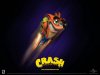 crash_bandicoot.jpg
