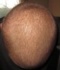slightly longer.jpg slightly longer.jpg