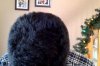 Hair Short 2.jpg