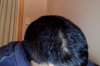 Photo on 1-9-2014 at 6.42 PM.jpg