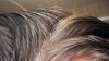 hair 3j.jpg