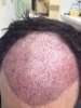 day1.jpg day1.jpg