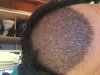 day14.jpg day14.jpg