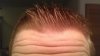 Furled.jpg
