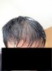 IMG_0851.jpg IMG_0851.jpg