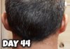 Day 44 Donor Final.jpg