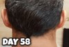 Day 58 Donor Final.jpg