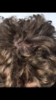 37B675EA-3BC4-4A45-BBE4-00D781EE8864.png