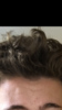 04A9E363-66CF-439B-A32D-0F04A16AD373.png
