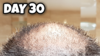 Crown 30.png