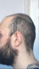 88D42F49-5528-4449-889E-05D7A0F0C726.png