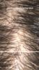 IMG_5465.PNG