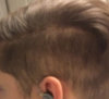 hurr.jpg