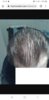 Screenshot_20200403-162847_Chrome.jpg