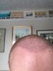 IMG_3303.JPG