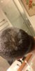 7EE2BE7A-FCEB-4296-85AC-7DA640077467.jpeg