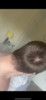 1E212F7A-C031-4E05-B15E-173D8B3C9618.png