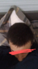Screenshot_20200501-014534~4.png