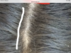 2923AE18-01AF-4138-8C30-8A414CAF38C1.png