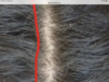 BA19DE31-F374-4B25-8F99-2AA48DC3E4BC.png