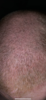 DFE0B4F6-E8B4-4DD8-A425-21DA97008D22.png
