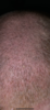 2DFB52E3-10F0-4A7B-963A-861FBA1A7A00.png
