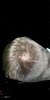 3B63E714-FD08-4B76-BD4D-52C57F1A1777.jpeg
