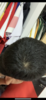 CED6F300-B633-4F8B-B8F6-2F6C282890CB.png