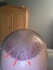 20200711_141655.jpg
