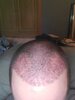 20200721_170248.jpg