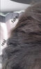2B8CAA4F-28EA-4C87-8256-08F56D676C64.jpeg