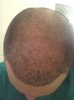 IMG_20121127_233542.jpg