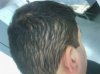 IMG_20130430_004303.jpg