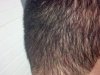 IMG_20140401_223531_058.jpg