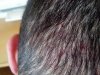 IMG_20140403_130642_287.jpg