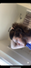 47378906-A6DC-40AD-8845-CF8740DC3E16.png