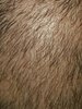20201006_152325.jpg