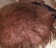 IMG_20201026_002754.jpg