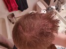 IMG_20201026_001556_compress11.jpg