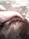 IMG_20201028_141754.jpg